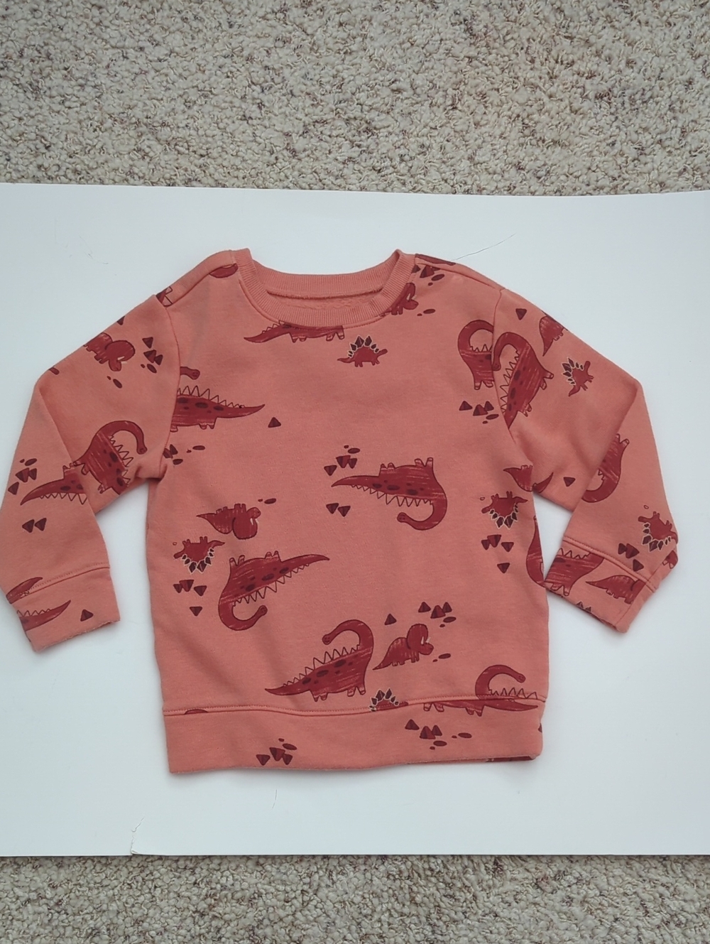 Old Navy Dinosaur Print Crewneck Sweatshirt Unisex 3T